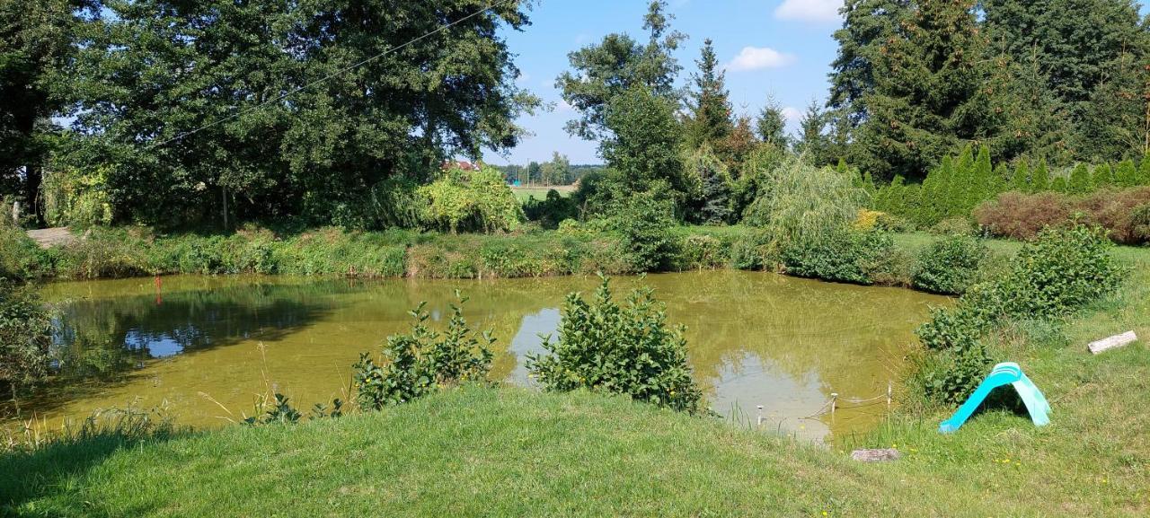 Agroturystyka Zielony Zakatek Villa Grudna Bagian luar foto